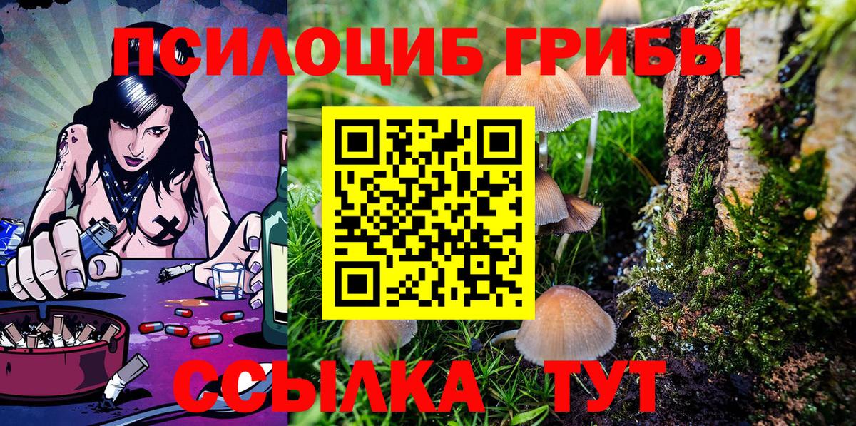 Псилоцибиновые грибы MAGIC MUSHROOMS  Вход с VPN  Балахна  Псилоцибиновые грибы GOLDEN TEACHER 