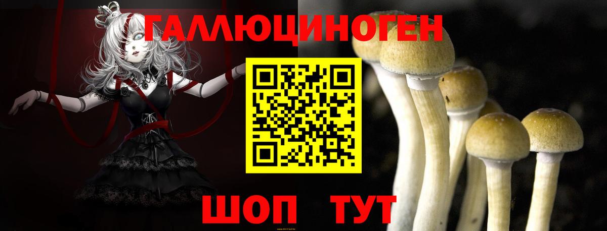 Галлюциногенные грибы прущие грибы Балахна